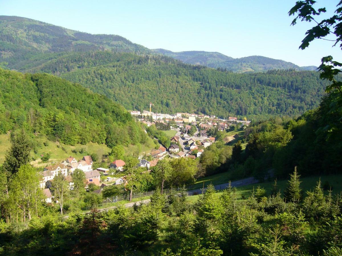 Le Tricotin Gite 2-4 Personnes Sainte-Marie-aux-Mines Εξωτερικό φωτογραφία